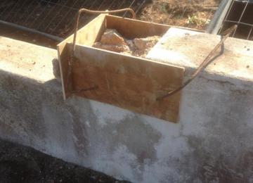 Travaux de modification et préparation de muret de clôture - Cap d'Antibes 06 - Clean Jardin